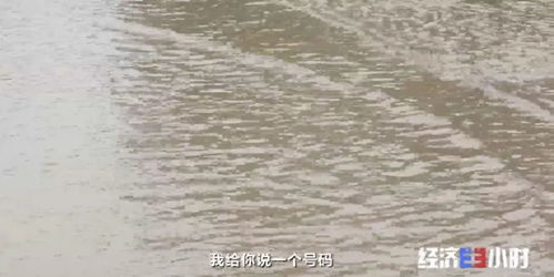 水泥墙里塞泡沫 投资数千万 水利工程 变 样子工程